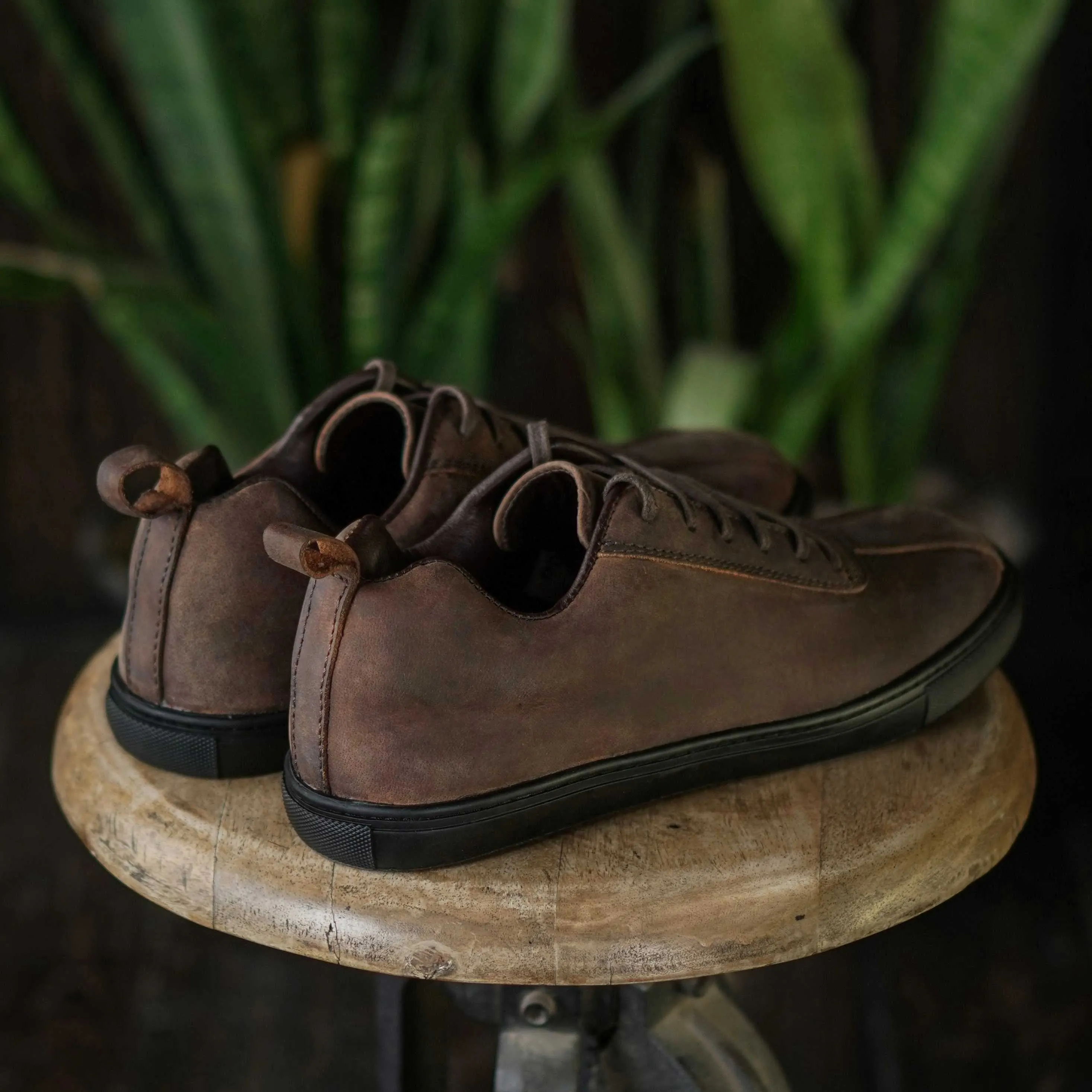 Austin Low Top Sneakers (Vintage Brown)
