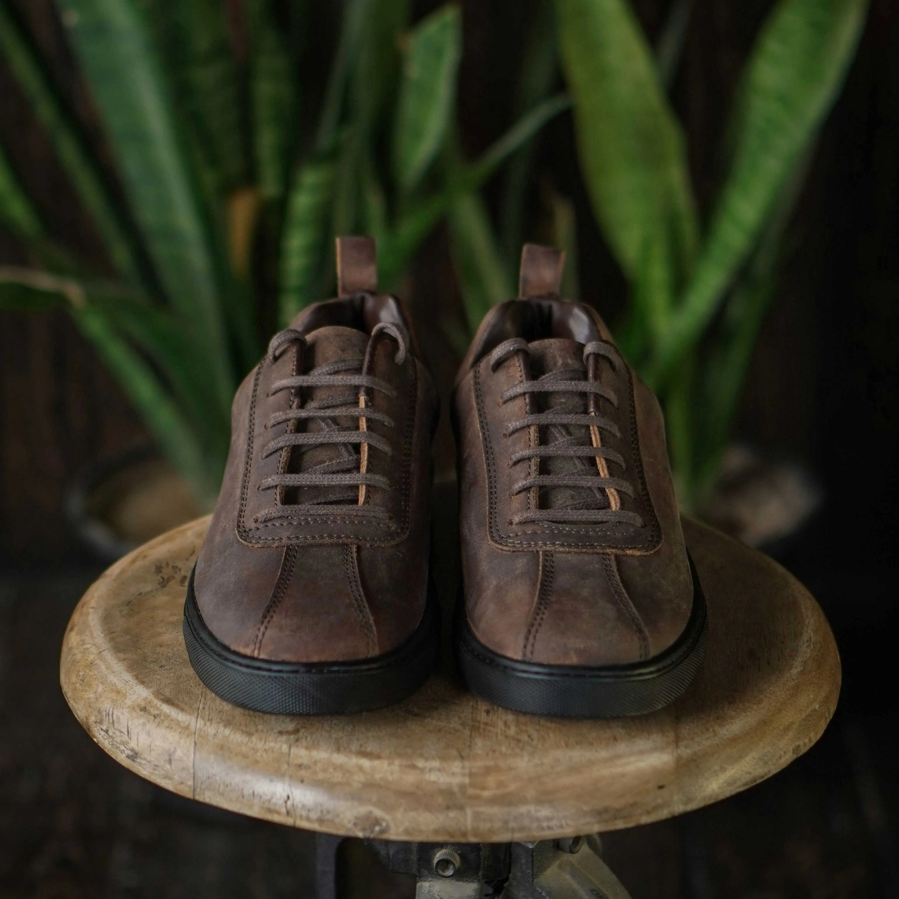 Austin Low Top Sneakers (Vintage Brown)
