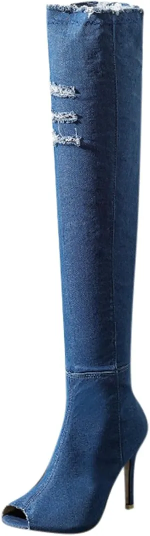 Cathalem Over the Knee Boots for Women High Heels Over The Knee Boots Thigh High Pointed Toe Stiletto Long Fall Sexy Boots